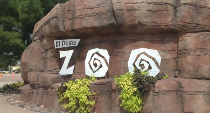 el paso zoo
